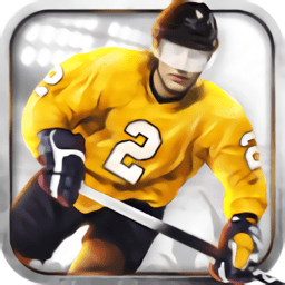 冰球3d游戏(icehockey) v2.0.2 安卓版