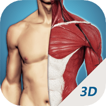 3d透视app