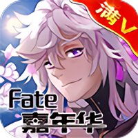 fate嘉年华满v版