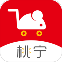 桃宁app v0.0.10 安卓版