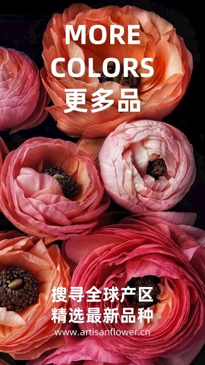 匠人花材app下载