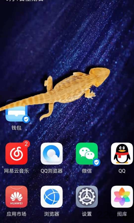 猫咪桌面宠物整蛊工具app