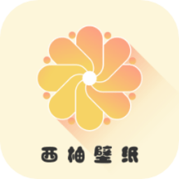 小小壁纸app v1.0.0 安卓版