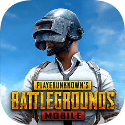 pubg m 轻量版 2.4.0